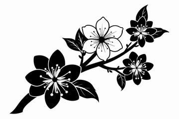  cherry blossom flower line art silhouette vector illustration