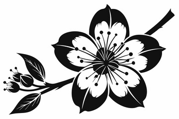  cherry blossom flower line art silhouette vector illustration