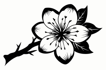  cherry blossom flower line art silhouette vector illustration