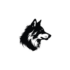 Fototapeta premium silhouette of a wolf