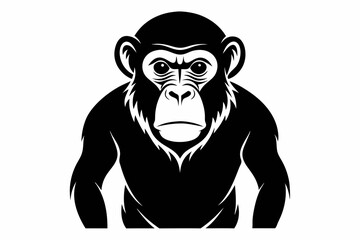 chimpanzee line art silhouette vector illustration