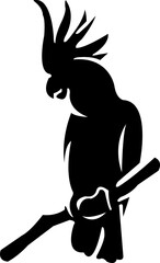 Parrots in silhouette ,bird ,flay ,wing