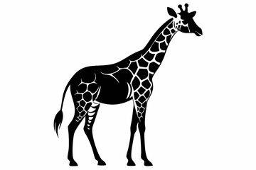 Obraz premium giraffe line art silhouette vector illustration