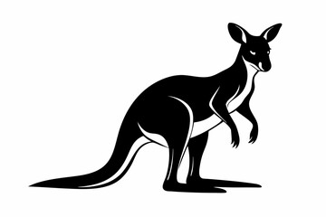 kangaroo line art silhouette vector illustration