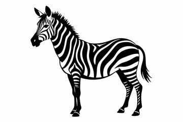zebra line art silhouette vector illustration	