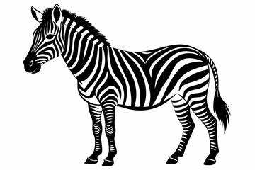 zebra line art silhouette vector illustration	