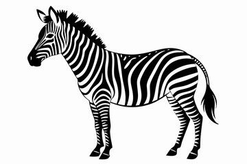 zebra line art silhouette vector illustration	
