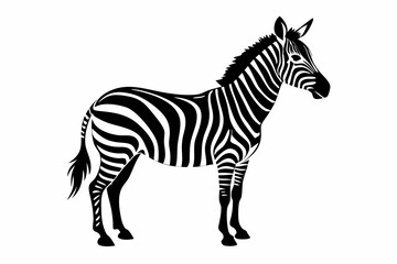 zebra line art silhouette vector illustration	