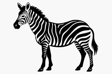 zebra line art silhouette vector illustration	