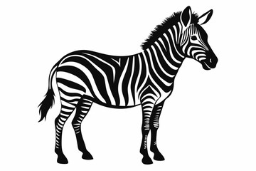 zebra line art silhouette vector illustration	