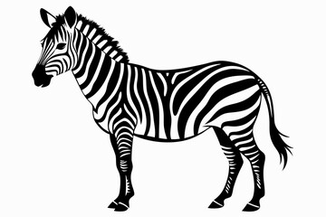 zebra line art silhouette vector illustration	