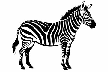 zebra line art silhouette vector illustration	