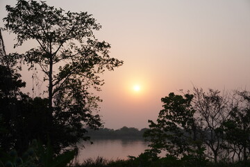 Several trees are in the foreground, the sunset in the background 