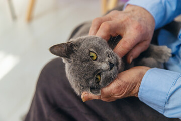 Old woman with a cat. Selective focus.