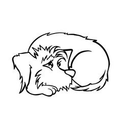 Mongrel dog lying curled up, line coloring page vector