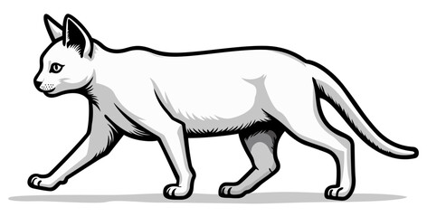White Cat Walking Side View Isolated Vector