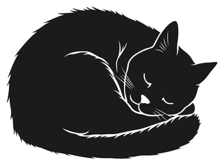 Black Cat Sleeping Curl Up Isolated