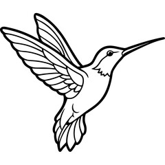 Fototapeta premium a black and white illustration of a hummingbird in flight with detailed wings and a long beak. A perfect image for coloring pages