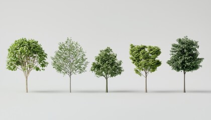 Obraz premium Lush green tree collection, featuring a variety of species and organic structures, digitally rendered with precise botanical accuracy