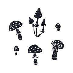 Hand drawn monochrome inky silhouettes of amanita mushroom. Poisonous fungy black and white doodles