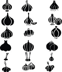 Garlic. Icon with reflection on white background, vegetable, food