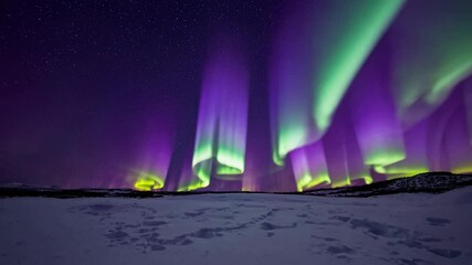 Stunning northern lights dance: vibrant aurora borealis display over snowy landscape - Powered by Adobe