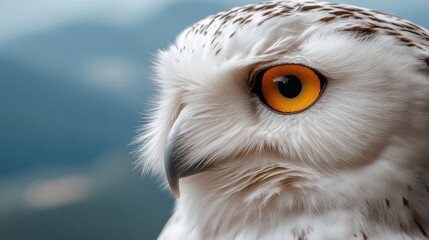 Snowy owl displays striking yellow eyes in detailed close-up against blurred natural background
