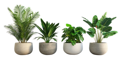 Fototapeta premium A collection of four diverse indoor plants in modern pots, showcasing vibrant greenery and textures