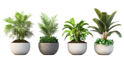 A vibrant collection of four potted indoor plants arranged in a bright, modern setting