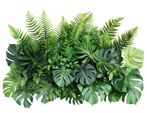 Lush green foliage arrangement featuring various tropical plants in a vibrant display (1)