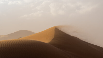 Wind blowing the sand in the Sahara Desert, Morocco, Africa.