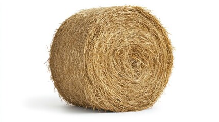 Round bale of hay on white background. Possible use agricultural scene, farm, hay