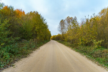 A dirt road in an overgrown park. Autumn countryside at sunset.