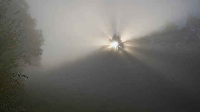Sonnestrahlen brechen durch Nebel, Spessart, Bayern, Deutschland