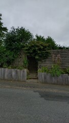 Clôture en bois et arbustes en bord de route 