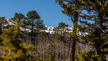 Hiking in Boulder County Colorado