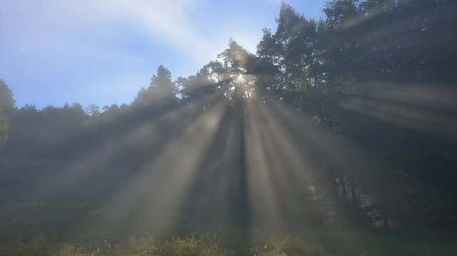 Sonnestrahlen brechen durch Nebel im Wald, Spessart, Bayern, Deutschland
