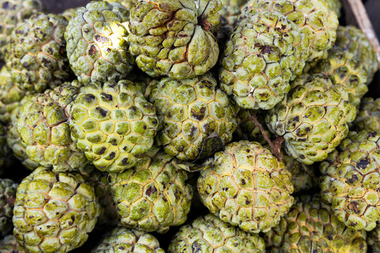 Tropical anon fruit at the market - Annona squamosa.