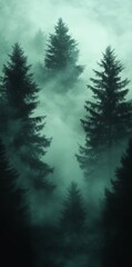 Fototapeta premium A tranquil view of a mist-covered forest, where tall evergreen trees stand amidst soft green shades and fog, creating a serene and mysterious mood
