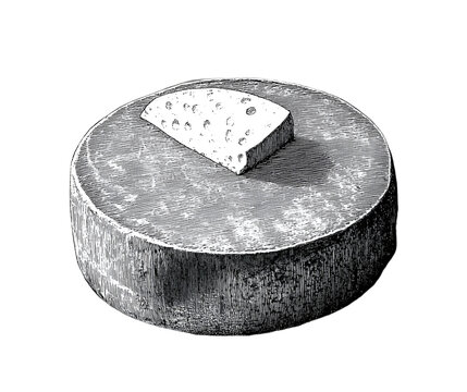 recommend clip art: wheel cheese engraving black and white outline