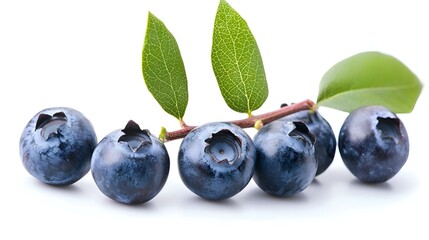 Obraz premium Frash blueberry branch isolated on white