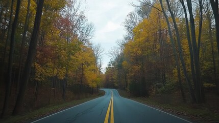 Fototapeta premium Asphalt road winds through autumn trees under a cloudy sky