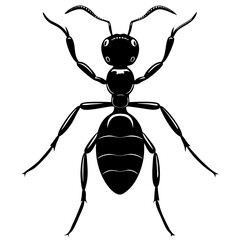 Ant tree black silhouette vector, Simple silhouette Design vector icon with white background. 