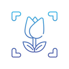 Marco Photo Vector icon