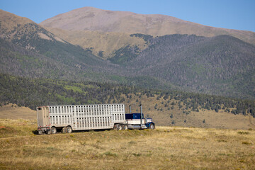 semi-truck eighteen wheeler with stock livestock cattle trailer on dirt road mountain truck rig 
