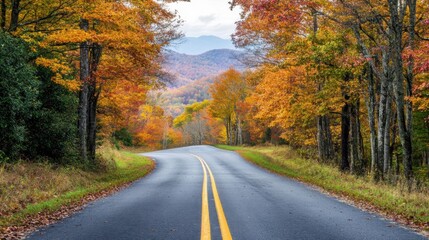 Fototapeta premium Autumn Road Through Colorful Trees in Scenic Mountain Landscape