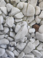 Close-up of white decorative stones with a natural irregular shape, creating a textured background. These smooth pebbles are ideal for landscaping, garden design, or minimalist interior decor concepts