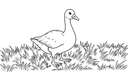 Goose Illustration Coloring Book Black, White Linear