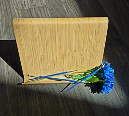 A Single Blue Blossom and the Quiet of Creation