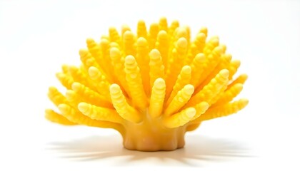 Close-up studio shot of a vibrant yellow coral against a white background. The coral is a complex structure of branching arms covered in small, rounded polyps